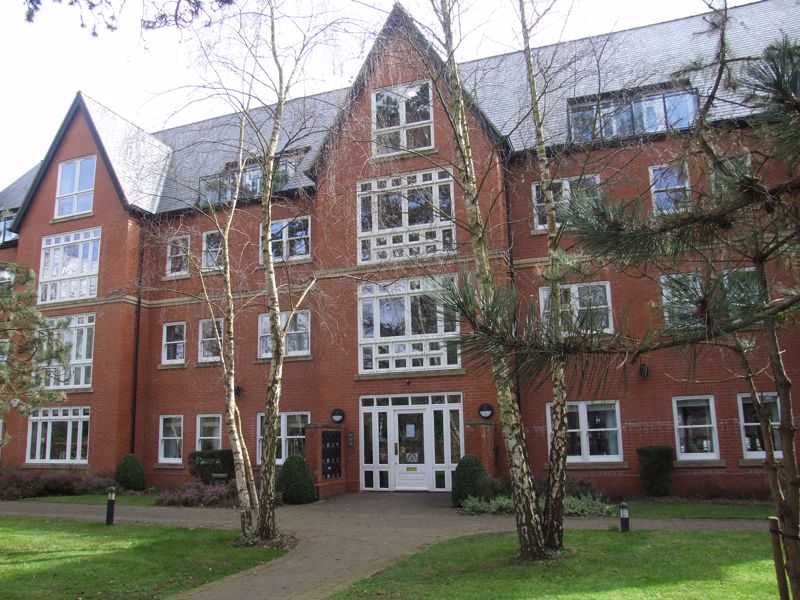 Main Image